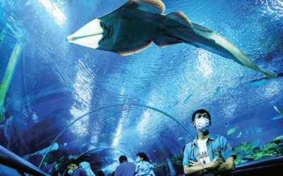 IPO Analysis : AQUAWALK