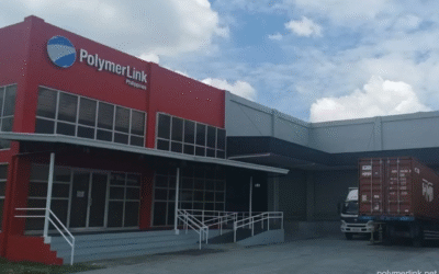 IPO Analysis : POLYMER